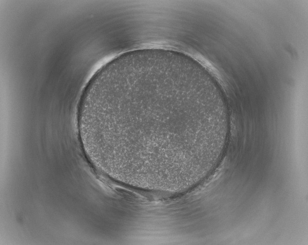 X0000114121230200911161132