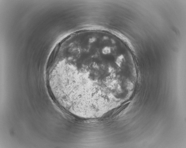 X0000114121231200911161132