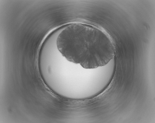 X0000114121232200911161132