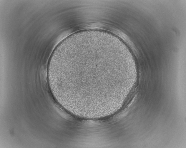 X0000114121234200911161132