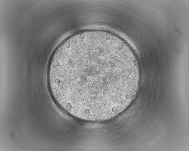 X0000114121237200911161132