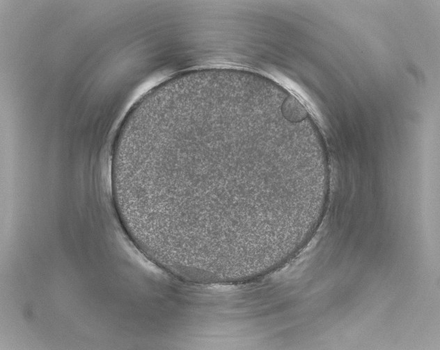 X0000114121238200911161132