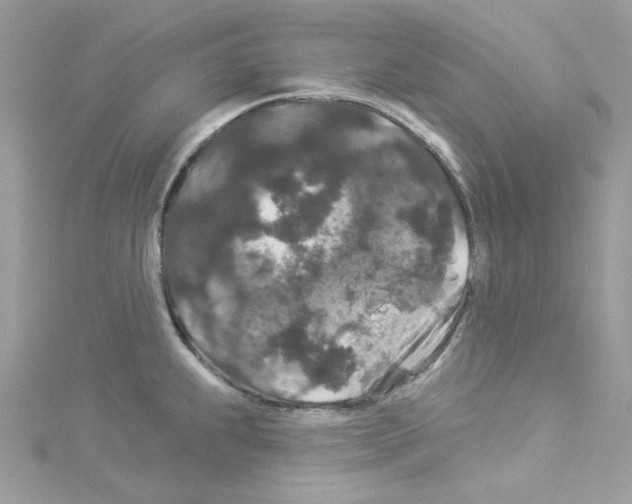 X0000114121239200911161132