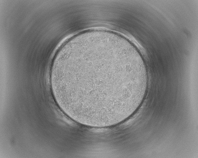 X0000114121240200911161132