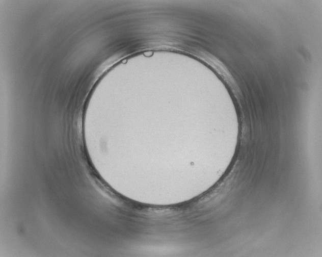 X0000114121242200911161132