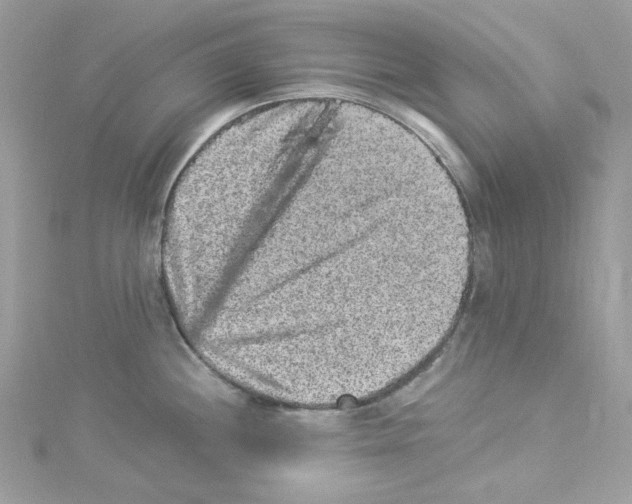 X0000114121244200911161132