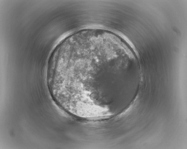 X0000114121245200911161132