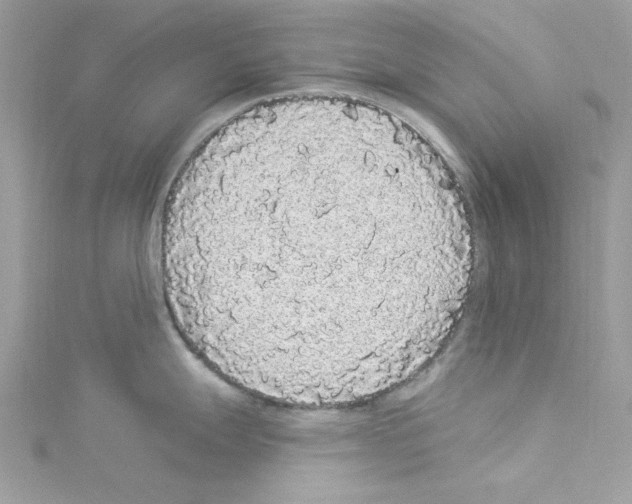 X0000114121247200911161132