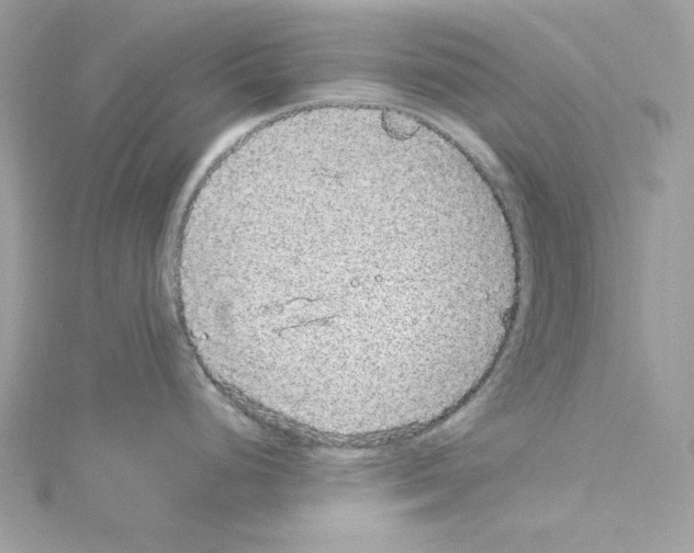 X0000114121248200911161132