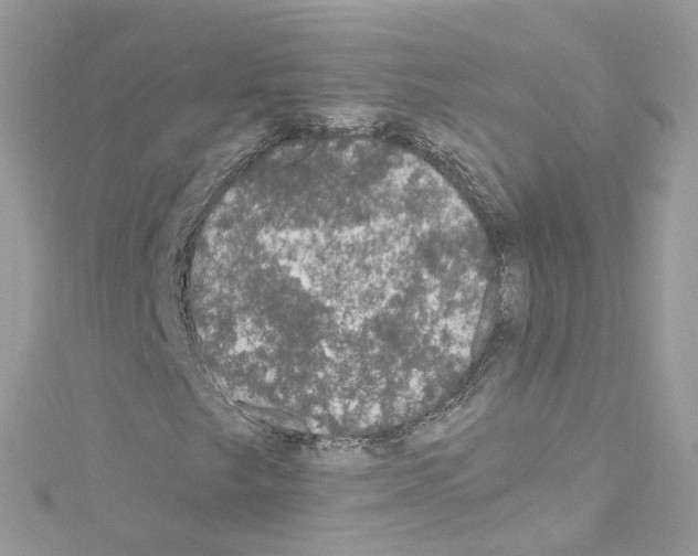 X0000114121249200911161132