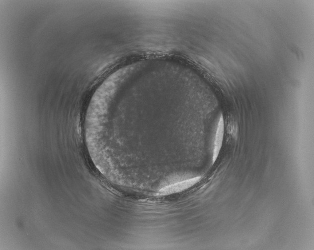 X0000114121252200911161132