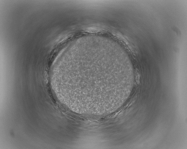 X0000114121253200911161132