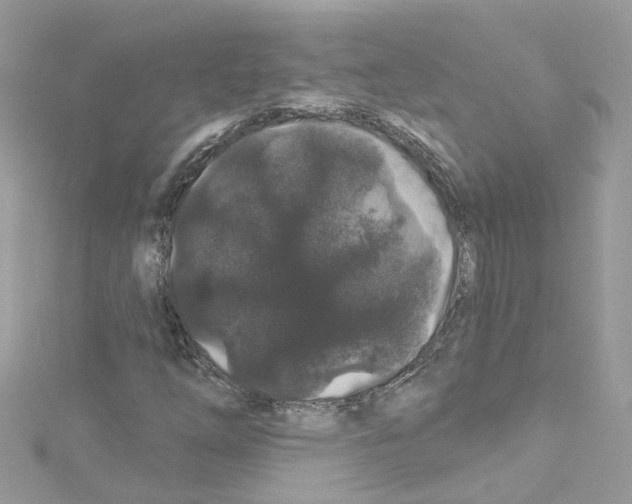 X0000114121254200911161132