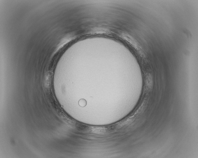 X0000114121258200911161132