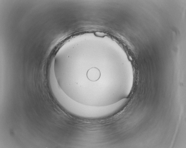 X0000114121261200911161132