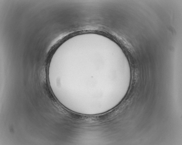 X0000114121262200911161132