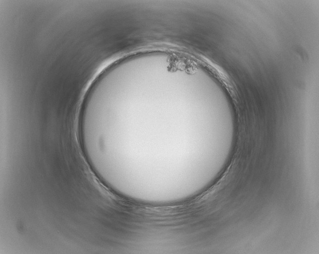 X0000114121272200911161132