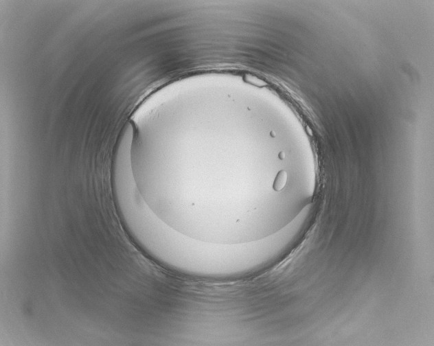 X0000114121273200911161131