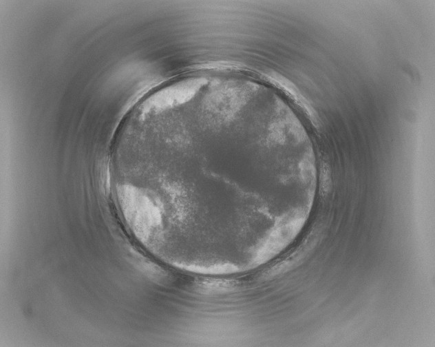 X0000114121274200911161131