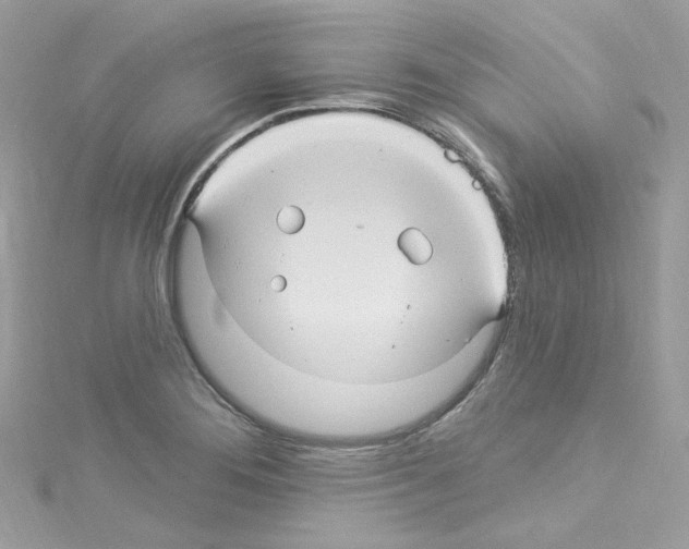 X0000114121276200911161131