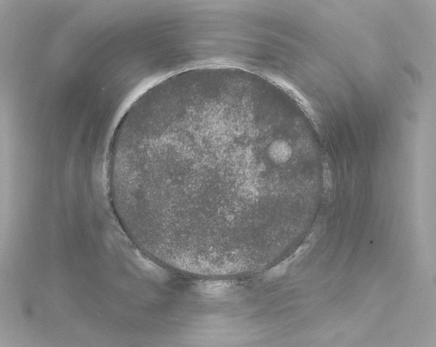 X0000114121278200911161131