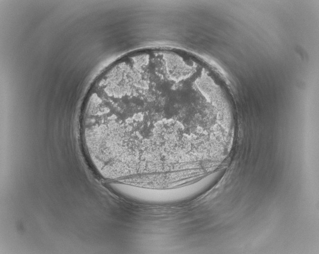 X0000114121279200911161131