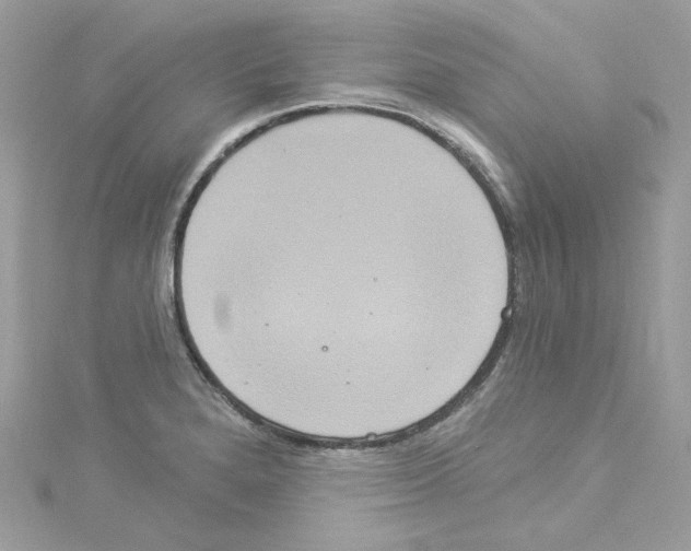 X0000114121280200911161131