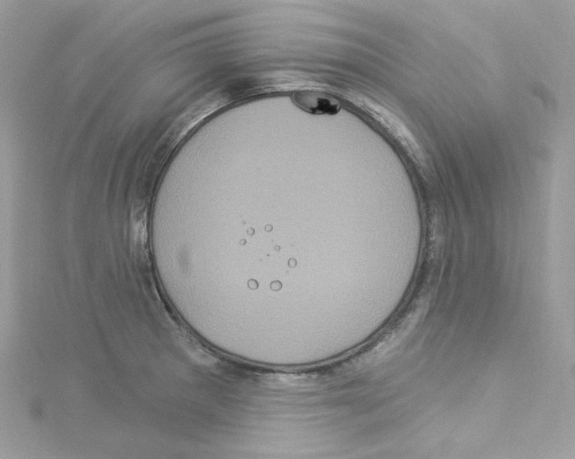 X0000114121281200911161131