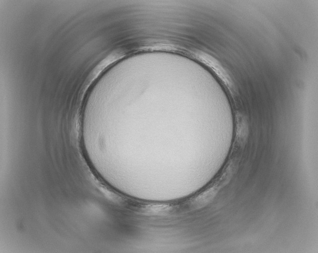 X0000114121282200911161131