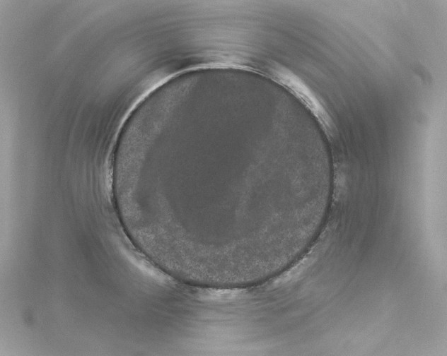 X0000114121284200911161131