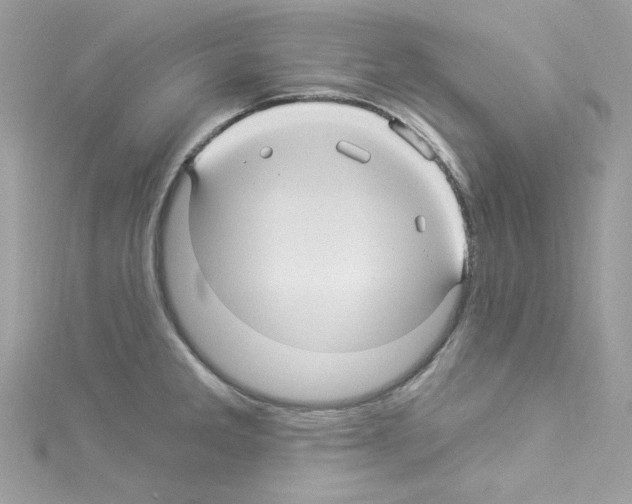 X0000114121285200911161131