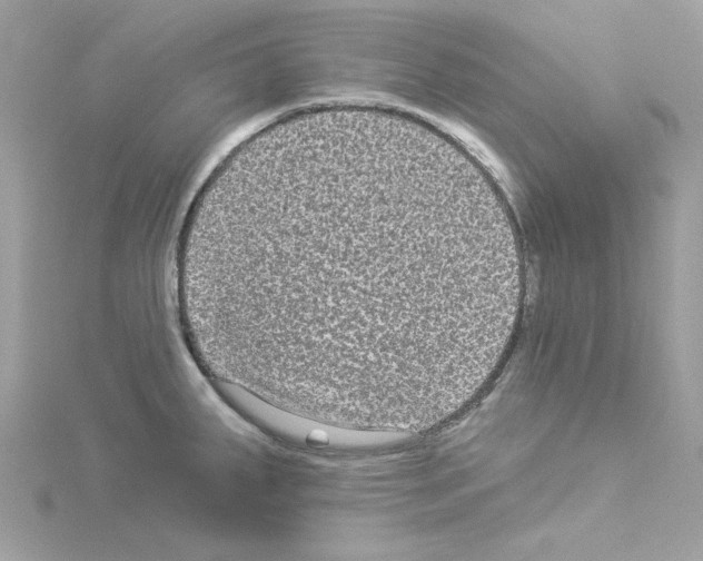 X0000114121287200911161131