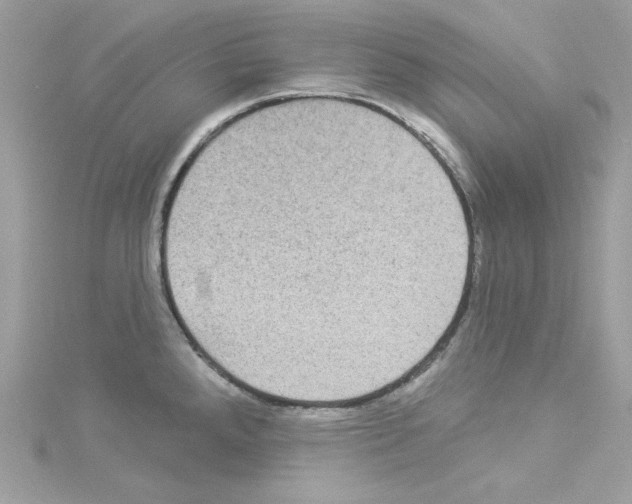 X0000114121288200911161131