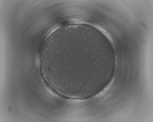 X0000114121289200911161131