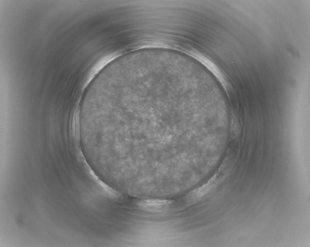 X0000114121290200911161131