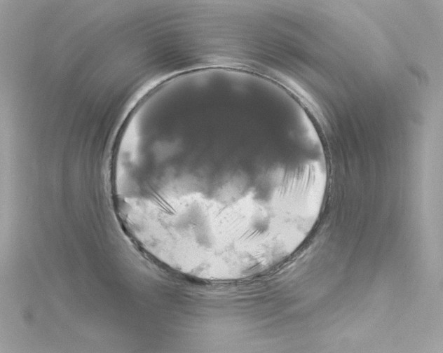 X0000114121291200911161131