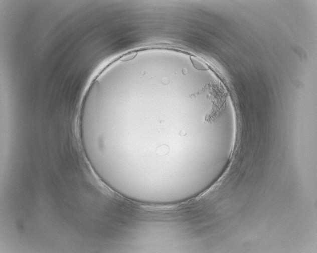 X0000114121296200911161131