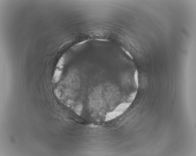 X0000114121297200911161131