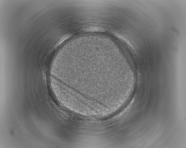 X0000114121305200911161131