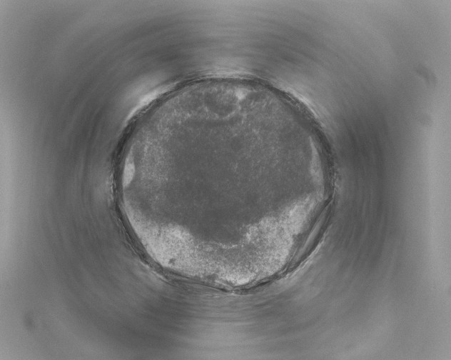 X0000114121306200911161131