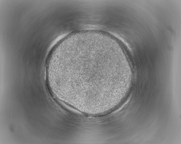 X0000114121317200911161131