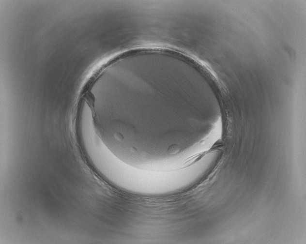 X0000114121319200911161131