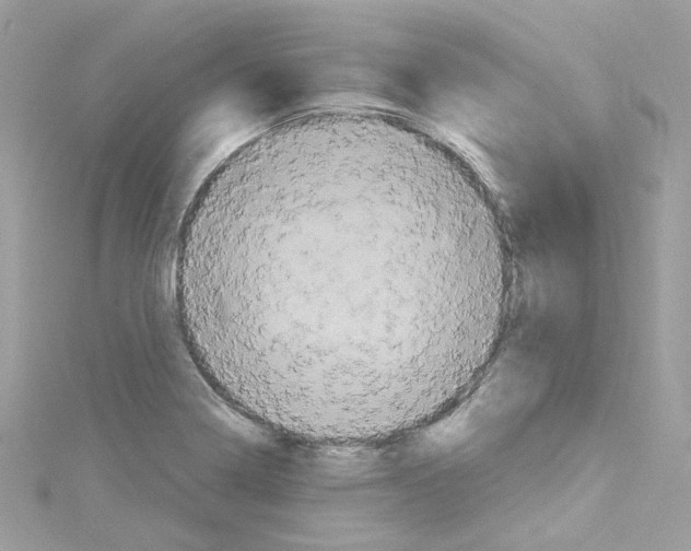 X0000114121322200911161131