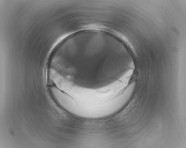 X0000114121323200911161131