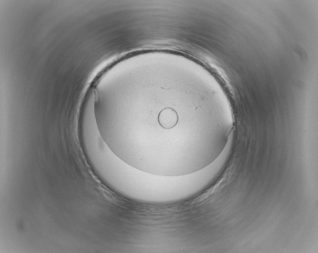 X0000114121328200911161131