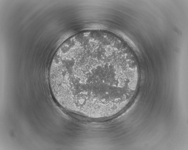 X0000114121329200911161131