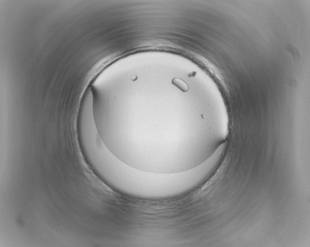 X0000114121330200911161131