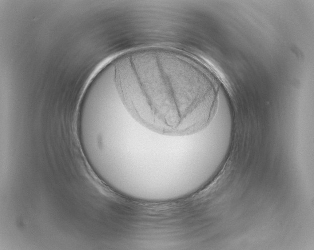 X0000114121332200911161131