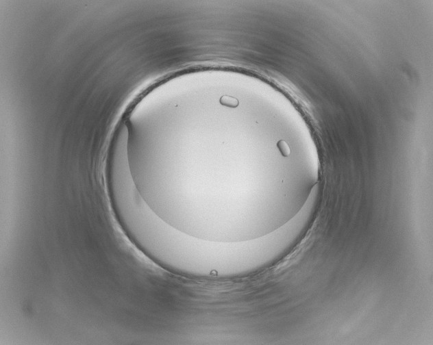 X0000114121334200911161131