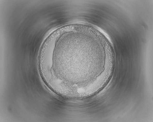 X0000114121338200911161131